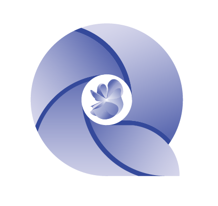 QBiz